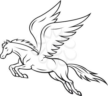 White pegasus horse with wings. Vector illustration