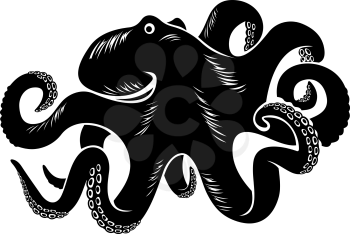 Big octopus isolated on white. Vector illustration