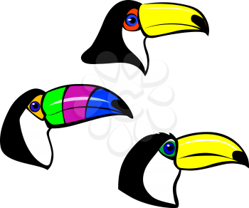 Head of toucan birds for mascot. Vector illustration
