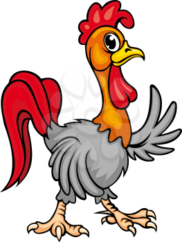 Young rooster in cartoon style. Vector illustration