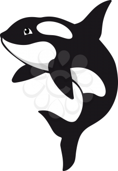 Killer whale in cartoon style. Vector illustration