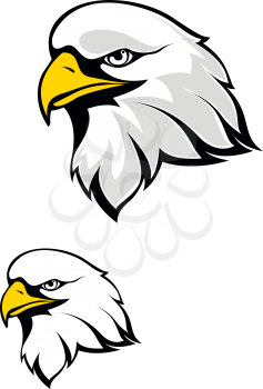Eagle head isolated on white background. Vector illustration