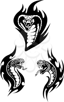 Set of three different black and white vector hissing snaketas heads with forked tongues with two in profile showing the fangs and one fronl of a cobra with its hood up