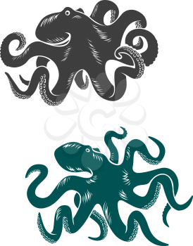 Octopus with waving tentacles, cartoon vector illustration on white with two different variations with the tentacles curled up and the other down