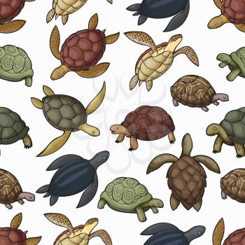 Turtle animals vector seamless pattern of sea turtle, tortoise and terrapin background. Water and land reptiles with green, black and brown carapace shells, feets, flippers and heads backdrop