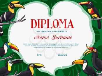 Certificate diploma vector template of kid education with frame border of toucan birds. School graduation award, kindergarten or preschool achievement certificate with exotic toucanets and palm leaves