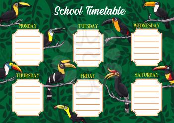 School timetable or schedule, education vector template with exotic toucan birds. Student planner or weekly lesson chart layout on background with tropical toucans, toucanets and jungle palm trees