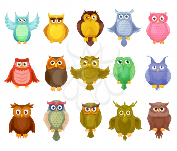 Owl birds vector design of cute cartoon owlets. Colorful feathered barn, long eared and eagle owls with spread wings and big eyes, isolated wild forest birds of prey for wildlife mascot design