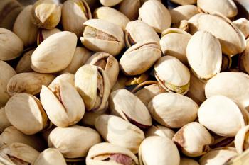 Close up photo of many pistachio nuts