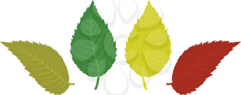 Royalty Free Clipart Image of Four Leaves