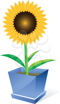 Royalty Free Clipart Image of a Sunflower in a Pot