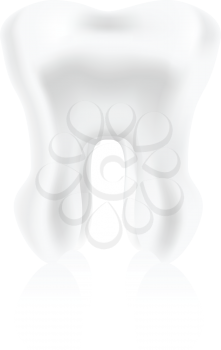 Royalty Free Clipart Image of Tooth