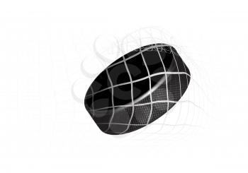 Goal - a hockey puck in the net. Vector illustration