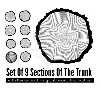 Set of 9 cross section of the trunk with tree rings, vector illustration