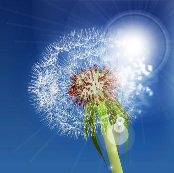 Dandelion seeds blown in the blue sky. Vector illustration