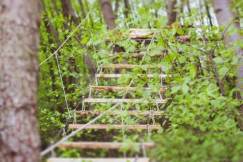 Wooden stairs in the green forest park with ropes
