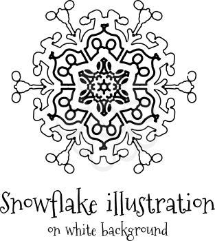 Snowflake vector icon islolated on white background