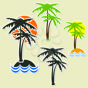 Different palm