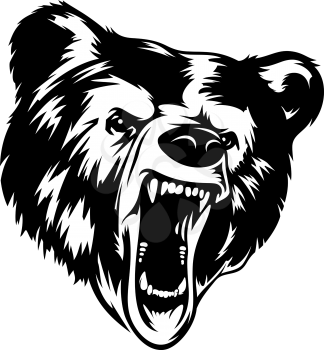 Grizzly Bear head black-white vector illustration. It can be used as a print on T-shirts and other clothes