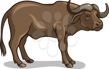 Vector illustration of buffalo isolated on white.  African wildlife