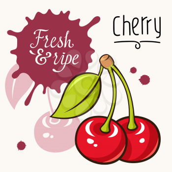 Vector illustration of ripe juicy cherry. Concept for a Farmers Market. Idea for the label design. Organic, local grown products