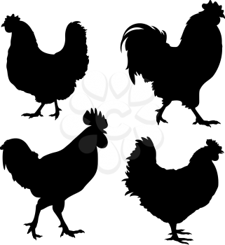 Silhouettes of chickens and roosters isolated on white