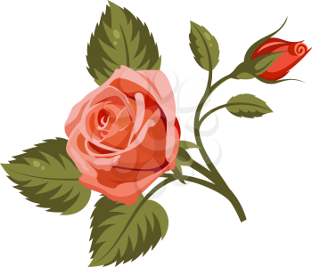Vector illustration of red roses isolated on white background. Use for fabric design, pattern fills and decorating greeting cards, invitations