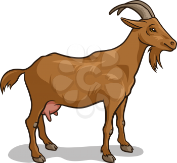 Goat isolated on white. Vector illustration