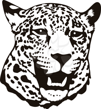 Stylised head of leopard isolated on white. This vector illustration can be used as a print on T-shirts, tattoo element or other uses