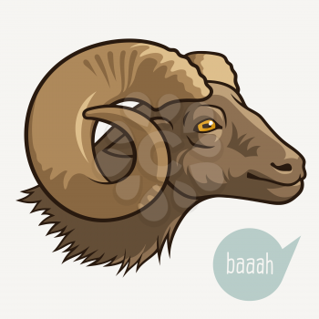 Head of sheep or ram . This vector illustration can be used as a print on T-shirts or other uses