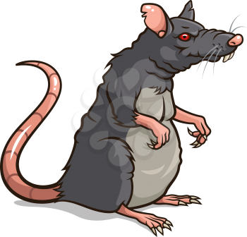 Vector illustration of an old grey rat isolated on white