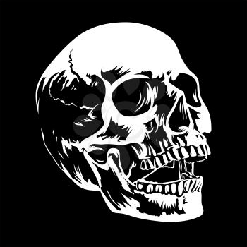 Hand drawn vector illustration of a Human Skull in black and white colors