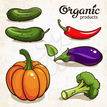 Vector illustration of vegetables: eggplant, pepper, broccoli, pumpkin, cucumber