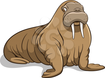 Vector illustration of a walrus isolated on white