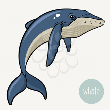 Big blue whale. This vector illustration can be used as a print on kid's T-shirt or other uses