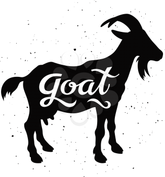 Goat silhouette with a calligraphic inscription Goat on a grunge background. Vector illustration