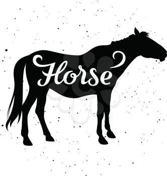 Horse silhouette with a calligraphic inscription Horse on a grunge background. Vector illustration