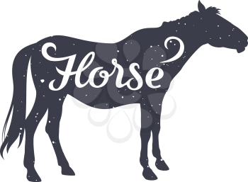 Grunge textured Horse silhouette with a calligraphic inscription Horse. Vector illustration