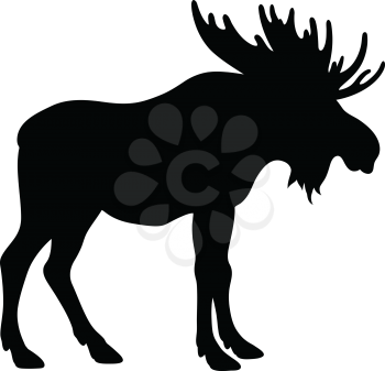 Moose silhouette isolated on white