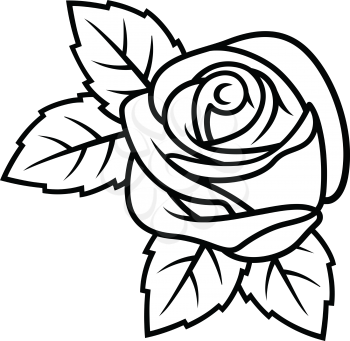 Sketch of Rose isolated on white background. Use for fabric design, tattoo, pattern and decorating greeting cards, invitations