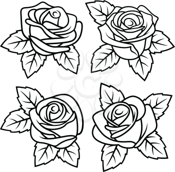 Roses with leaves. Vectors