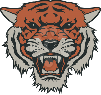 Tiger head, vector illustration. T-shirt graphics