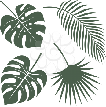 Vector silhouettes of tropical leaves. Monstera, coconut palm and fan palm