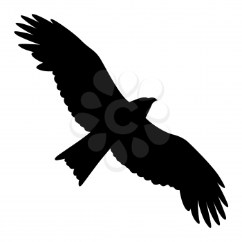 Eagle silhouette isolated on white. Vector illustration