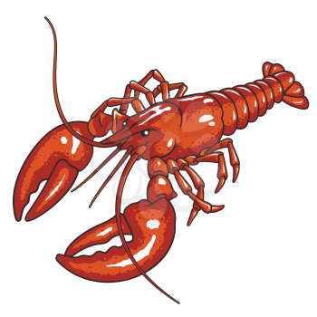 Red lobster vector illustration