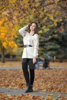 A young brunette girl in a knitted sweater stands on a background of yellow trees while walking in an autumn park