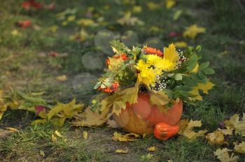 Autumn composition of pumpkin, leaves and flowers.