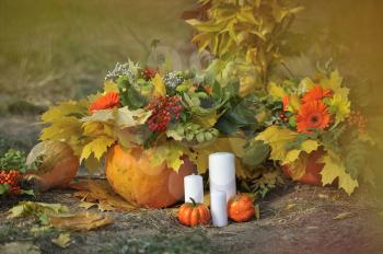 Autumn composition of pumpkin, leaves and flowers.