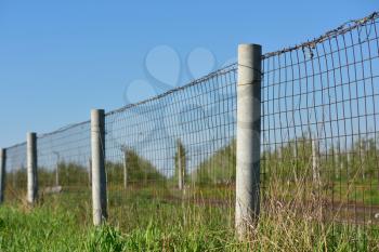 The barbed wire fence on a background of green Apple orchard