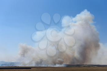 Big fire in the forest and in the field, thick smoke high in the sky.